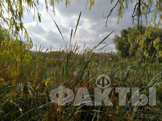 Коли тепло повернеться в Україну: синоптики назвали дату