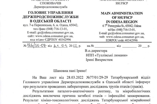 Массовая гибель птиц в Одесской области: cтала известна причина