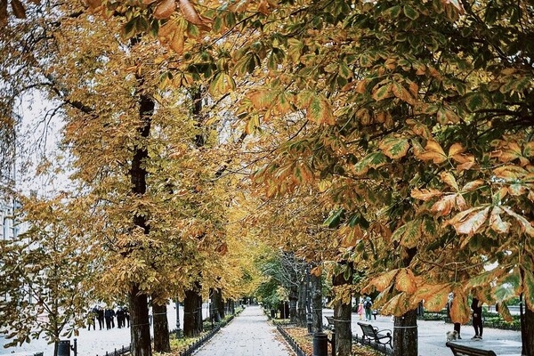 В Одессу наконец-то пришла настоящая осень (фото)
