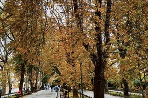 В Одессу наконец-то пришла настоящая осень (фото)