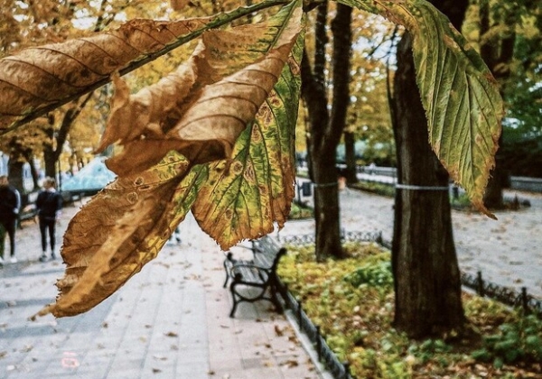 В Одессу наконец-то пришла настоящая осень (фото)