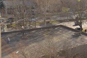 На Одессе аист прилетает прямо на крышу дома