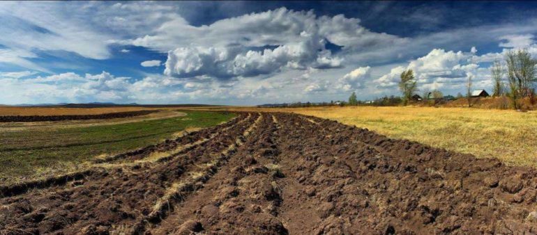 Пошук первоцвіту, «топтання рясту», випікання проскури й виконання «кривого танцю»: народні обряди, прикмети та заборони Благовіщення
