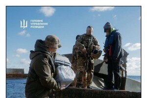 С острова Змеиный эвакуировали котов