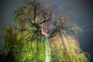 Во время  ночной атаки Одессы пострадали дома, склады и автомобили: есть раненые