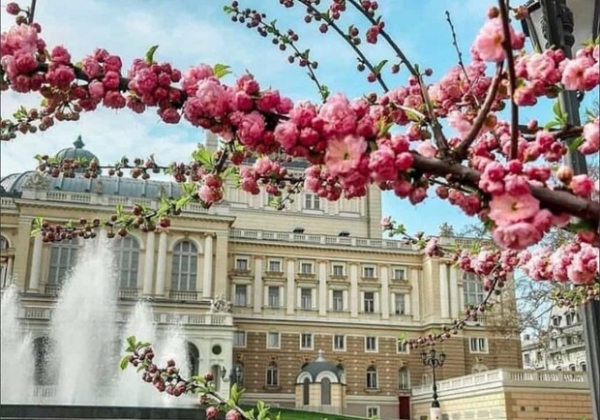 От заморозков до +20 &deg;С: какая погода будет в Одессе на следующей неделе