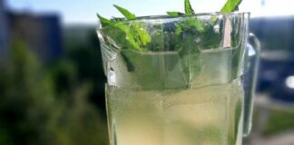 Хіт червня — м’ятний квас: готується дуже просто